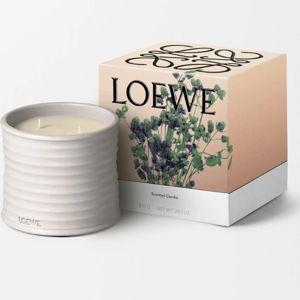 Medium Oregano Candle - LOEWE