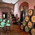 Tequila Tasting Tours