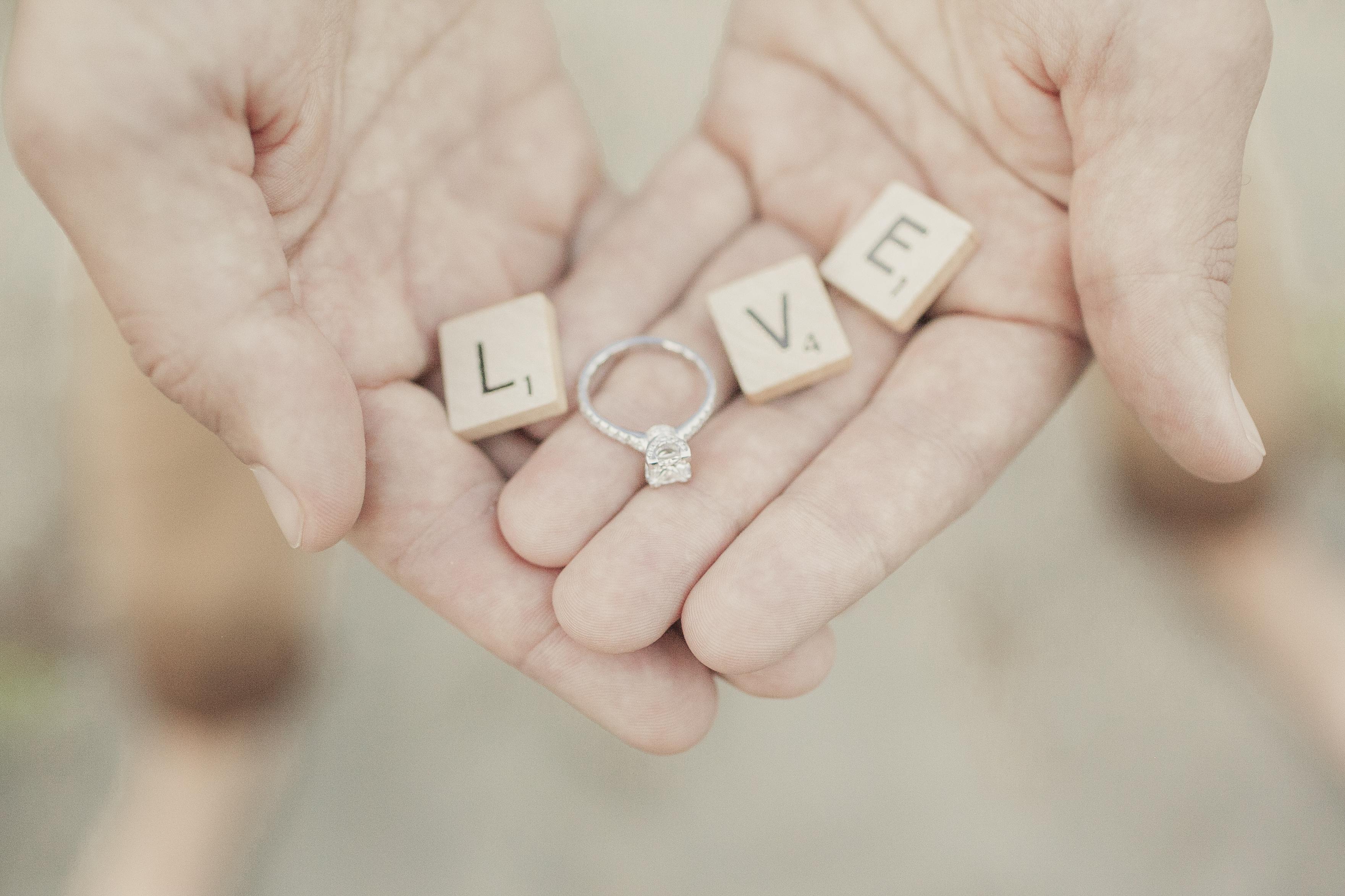The Wedding Website of Holly MacDonald and Peter Urbanellis