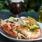 Savor Delicious Ceviche at La Mulata