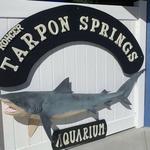 Tarpon Springs Aquarium and Animal Sanctuary