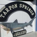 Tarpon Springs Aquarium and Animal Sanctuary