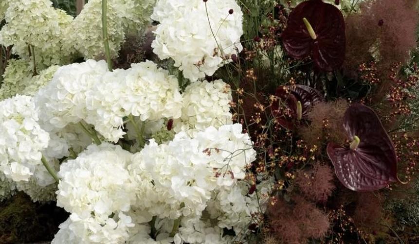 The Wedding Website of Payten Tignor and Coy Carnes