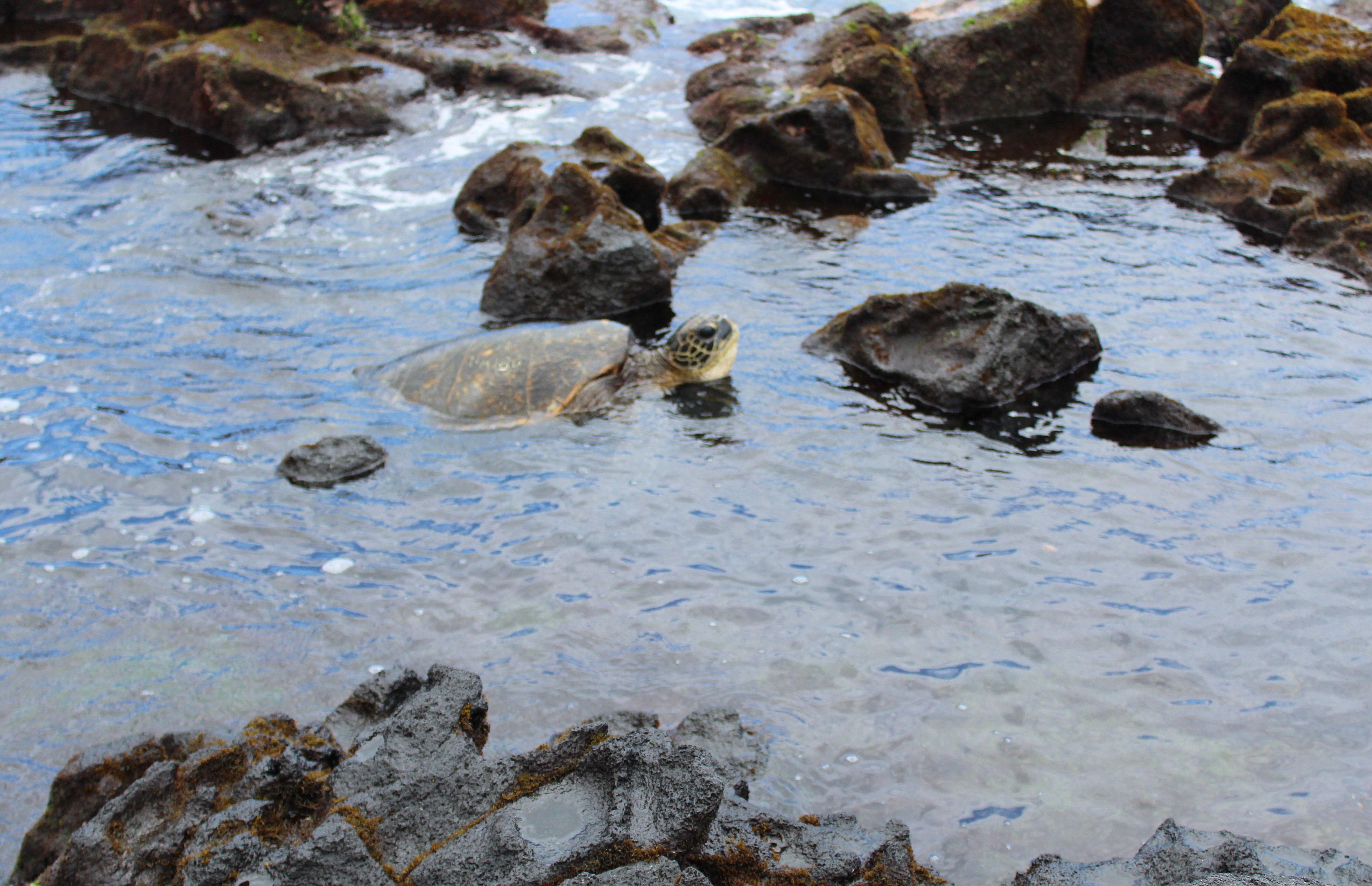 The Wedding Website of Nadine Barragan and Gabriel Cano