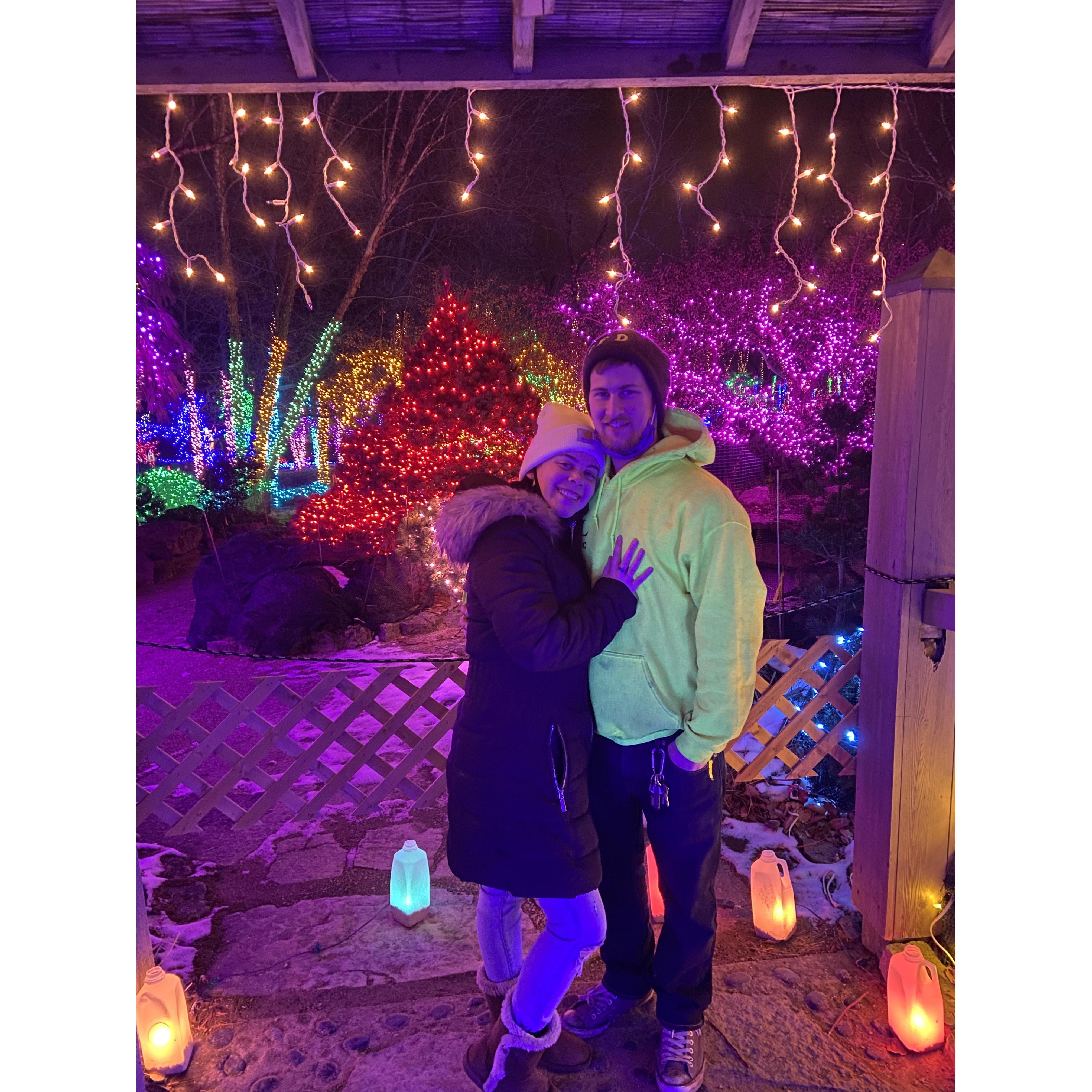 Rotary Gardens December 2020