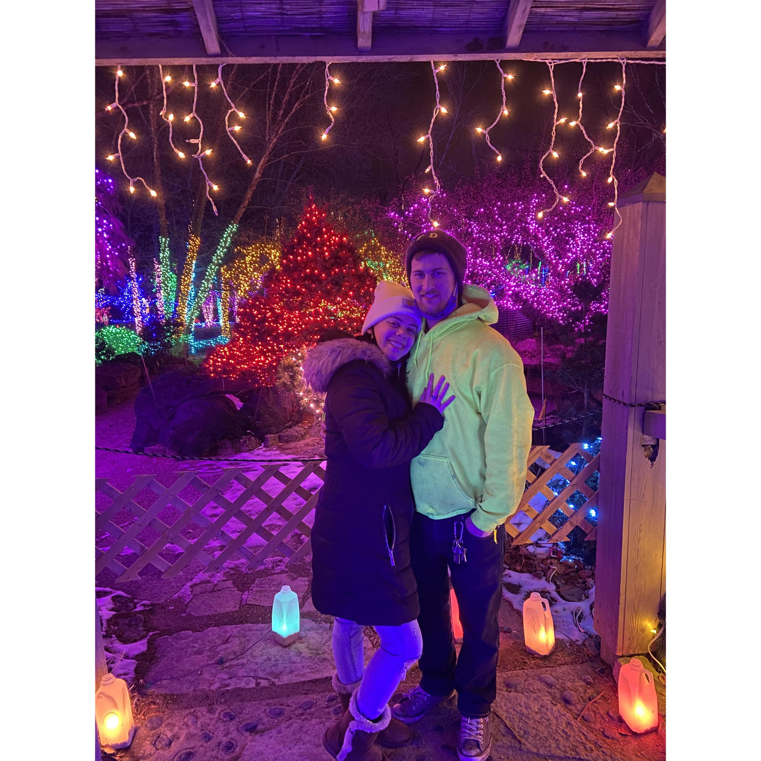Rotary Gardens December 2020