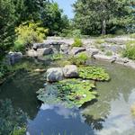 Montreal Botanical Garden