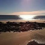 Enjoy a walk or drive by the beaches along Route 1.