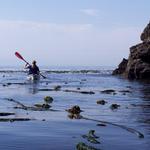 Kayak Bowman Bay