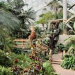 Foellinger-Freimann Botanical Conservatory