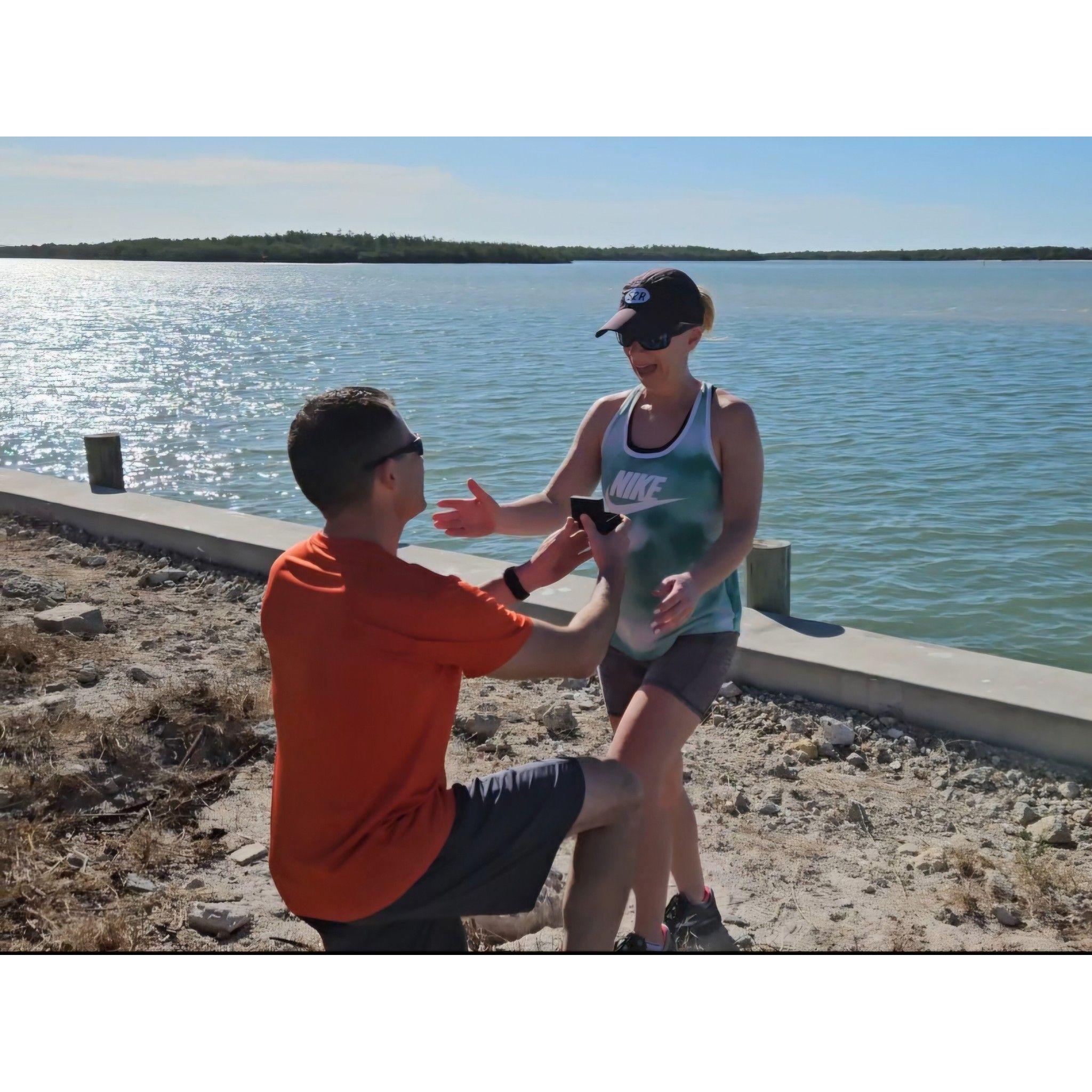 The proposal!