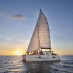 Tours & Experiences