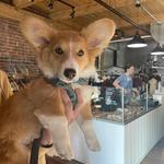 ARDOR Breads and Provisions
