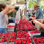Midtown Farmers Market