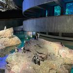 New England Aquarium