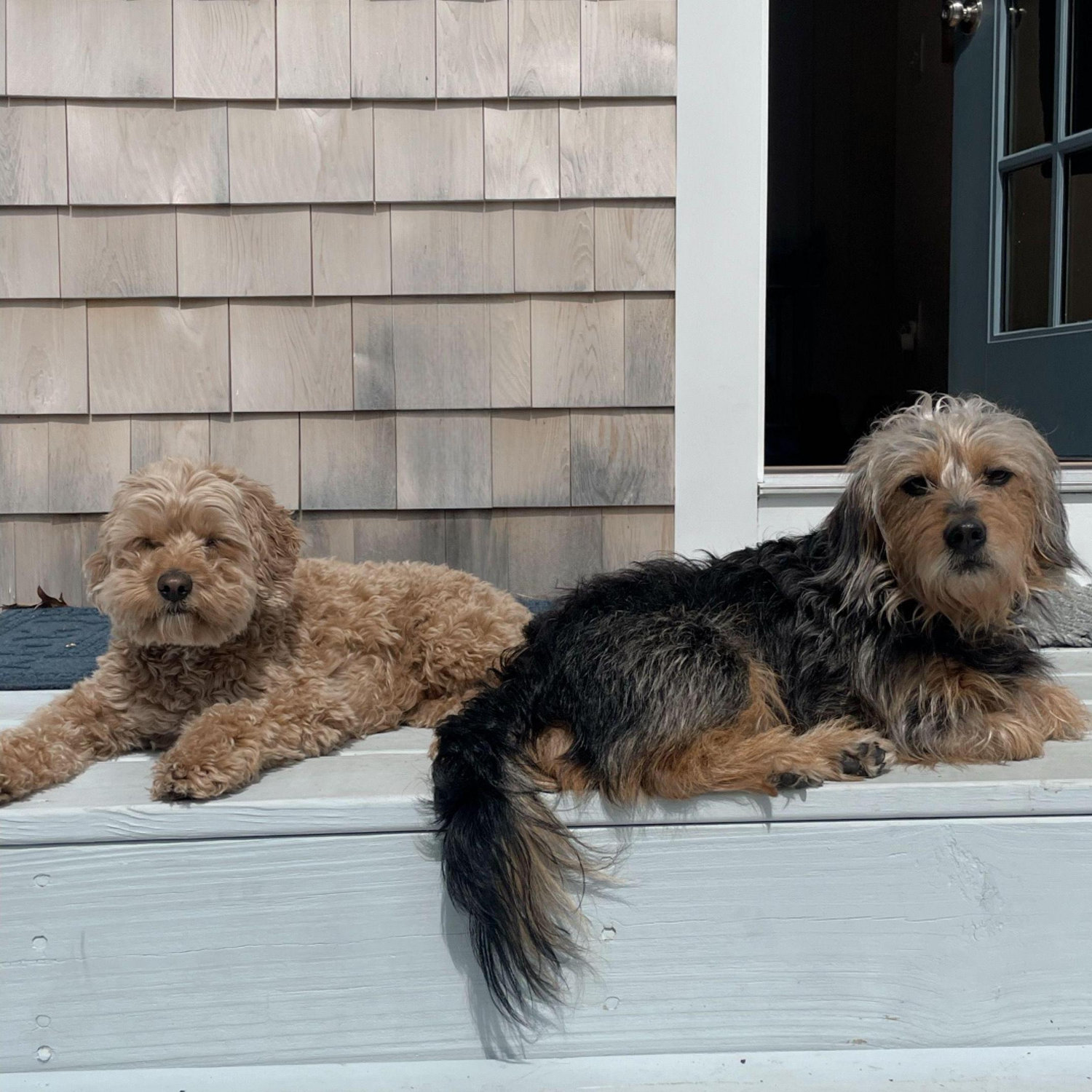 Beans & Bandit