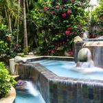 Fern Tree Spa at Half Moon