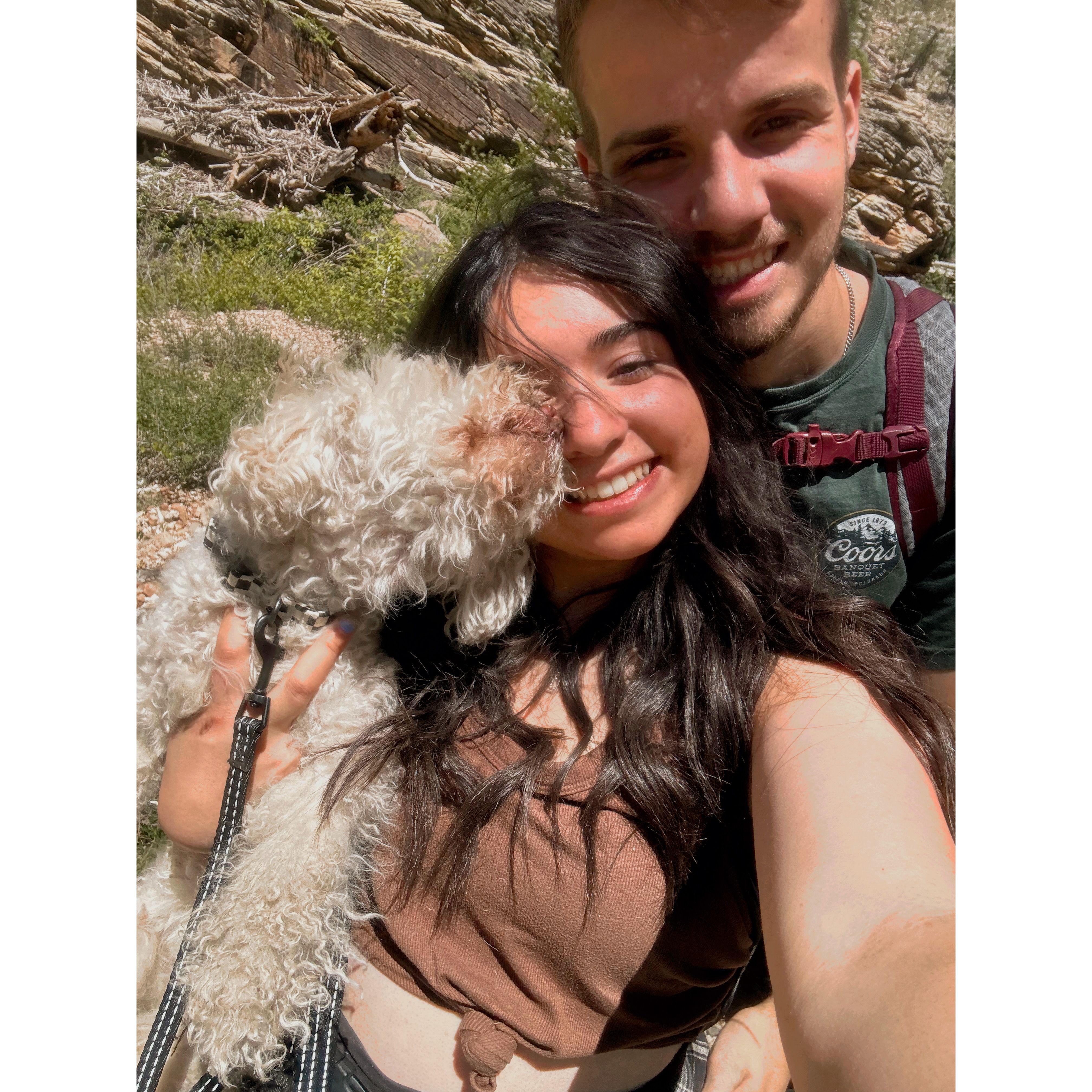 Last hike with the best dog