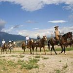 Mt. Princeton Hot Springs Stables