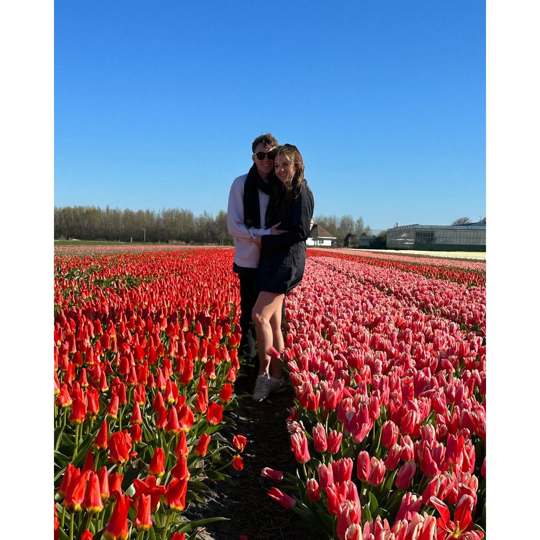 Amsterdam in the tulip fields!