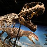 Denver Museum of Nature & Science