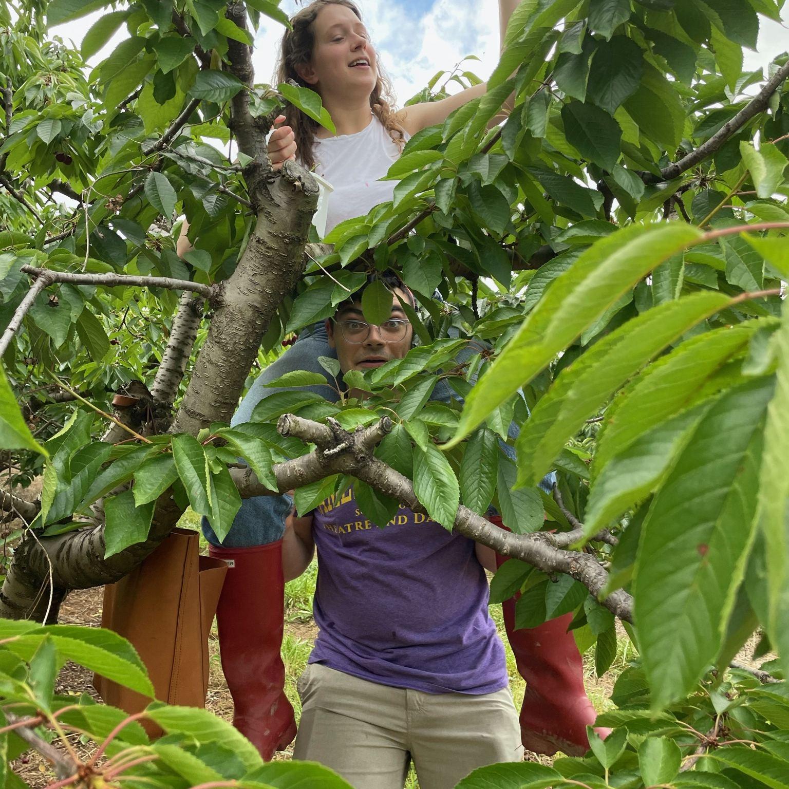 Cherry picking together
