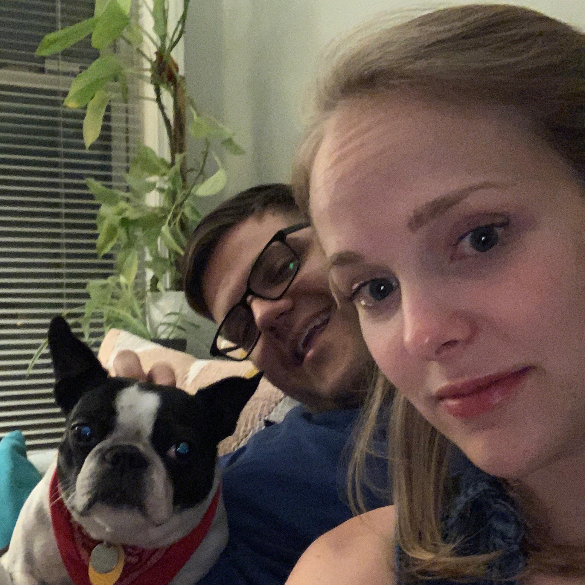 Not our dog. June 2019.
