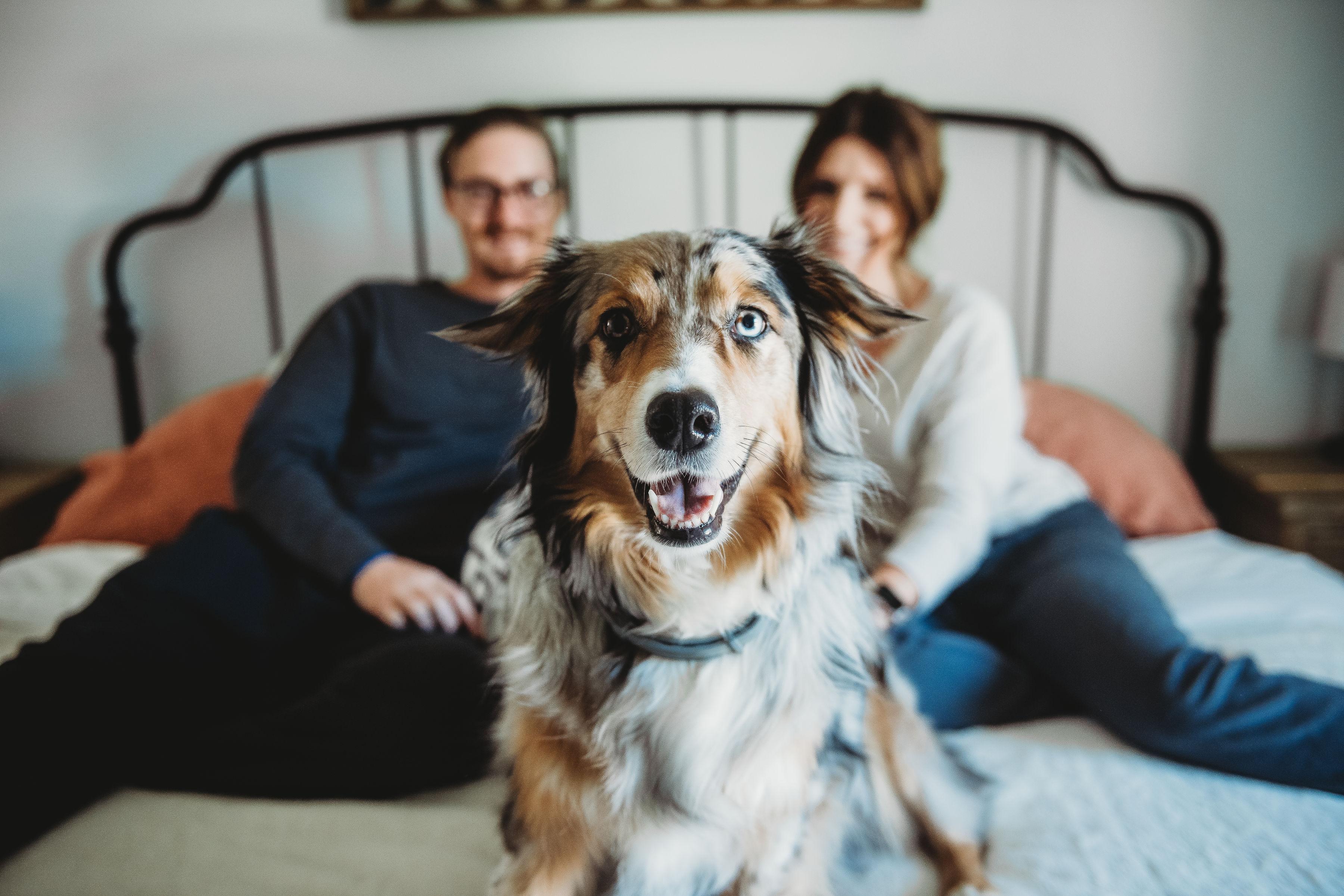 The Wedding Website of Abby Dragovich and Billy Hogan