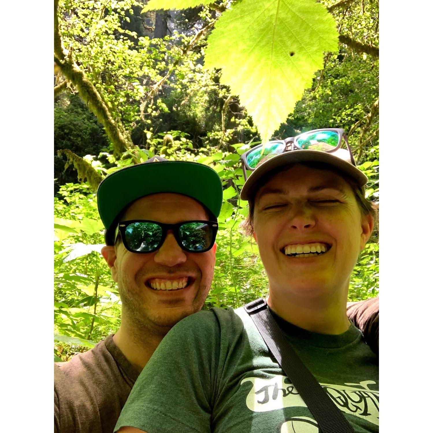 Fern Canyon, Humboldt