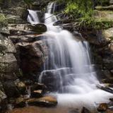 Maxwell Falls Lower Trail