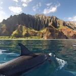 Nā Pali Coast State Wilderness Park