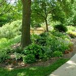 Weed Park
