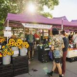 Boulder Farmers Market