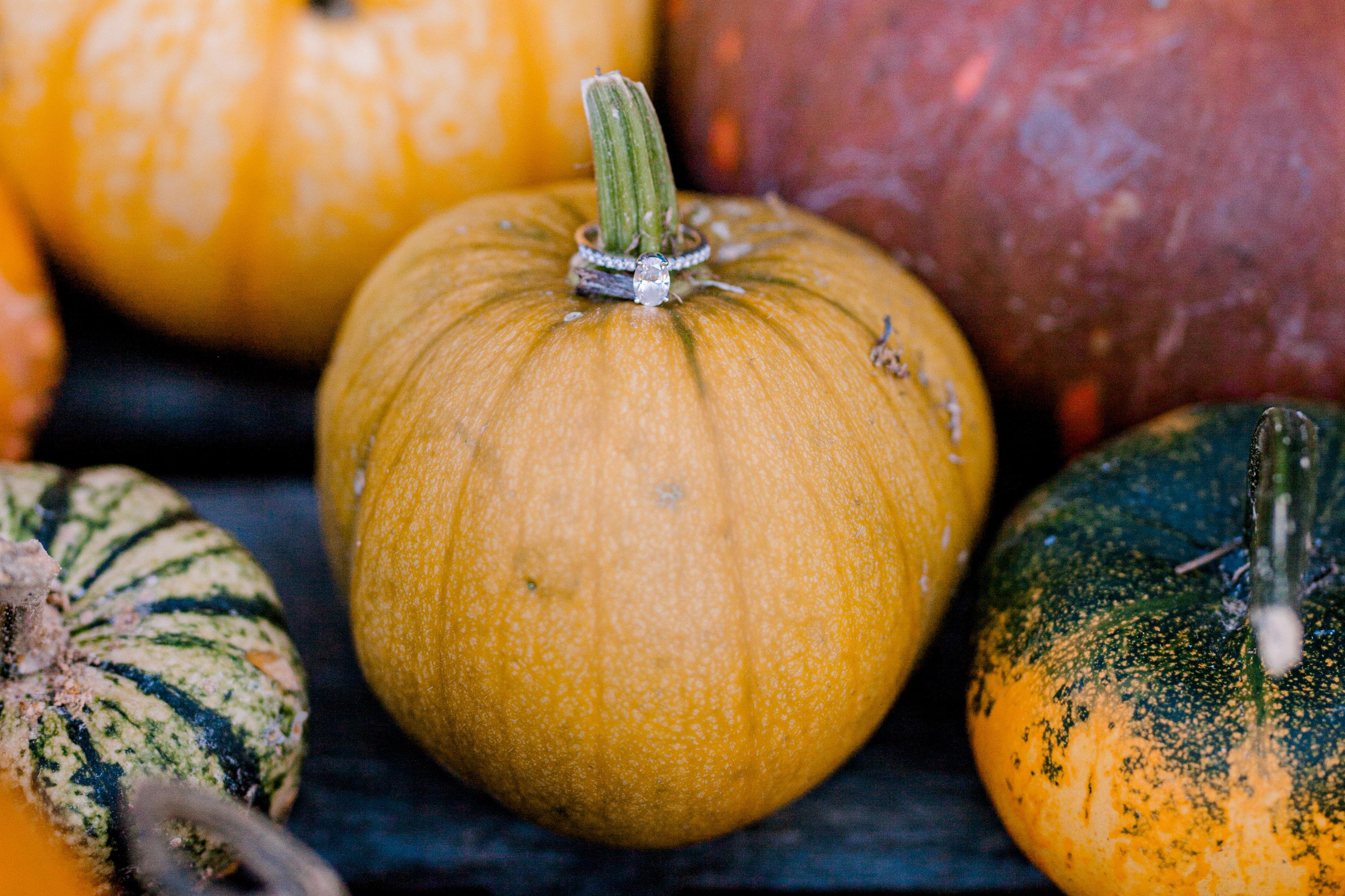 5d21983e-e797-4c2e-bbc5-c9b3d7ea55de