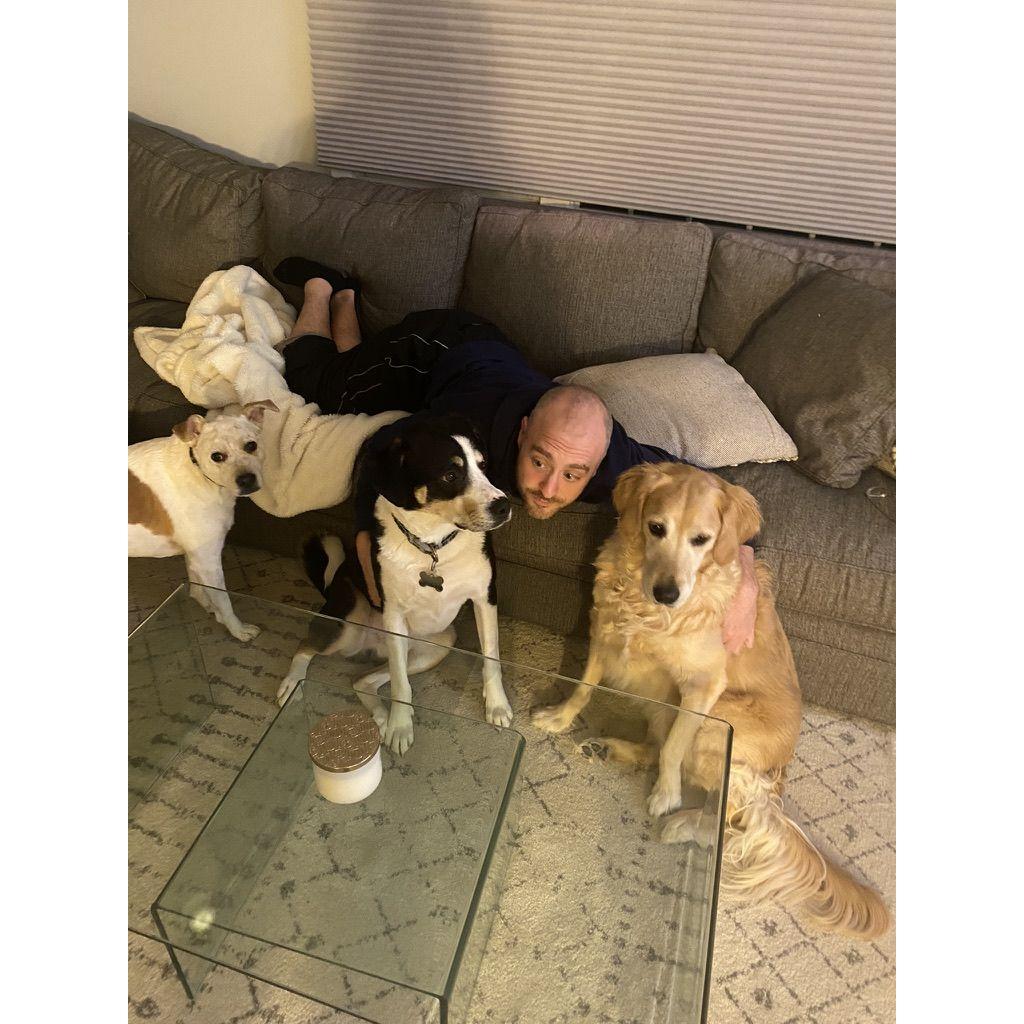 The one and only picture in existence with all three pups together