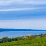 Finger Lakes Wine Country