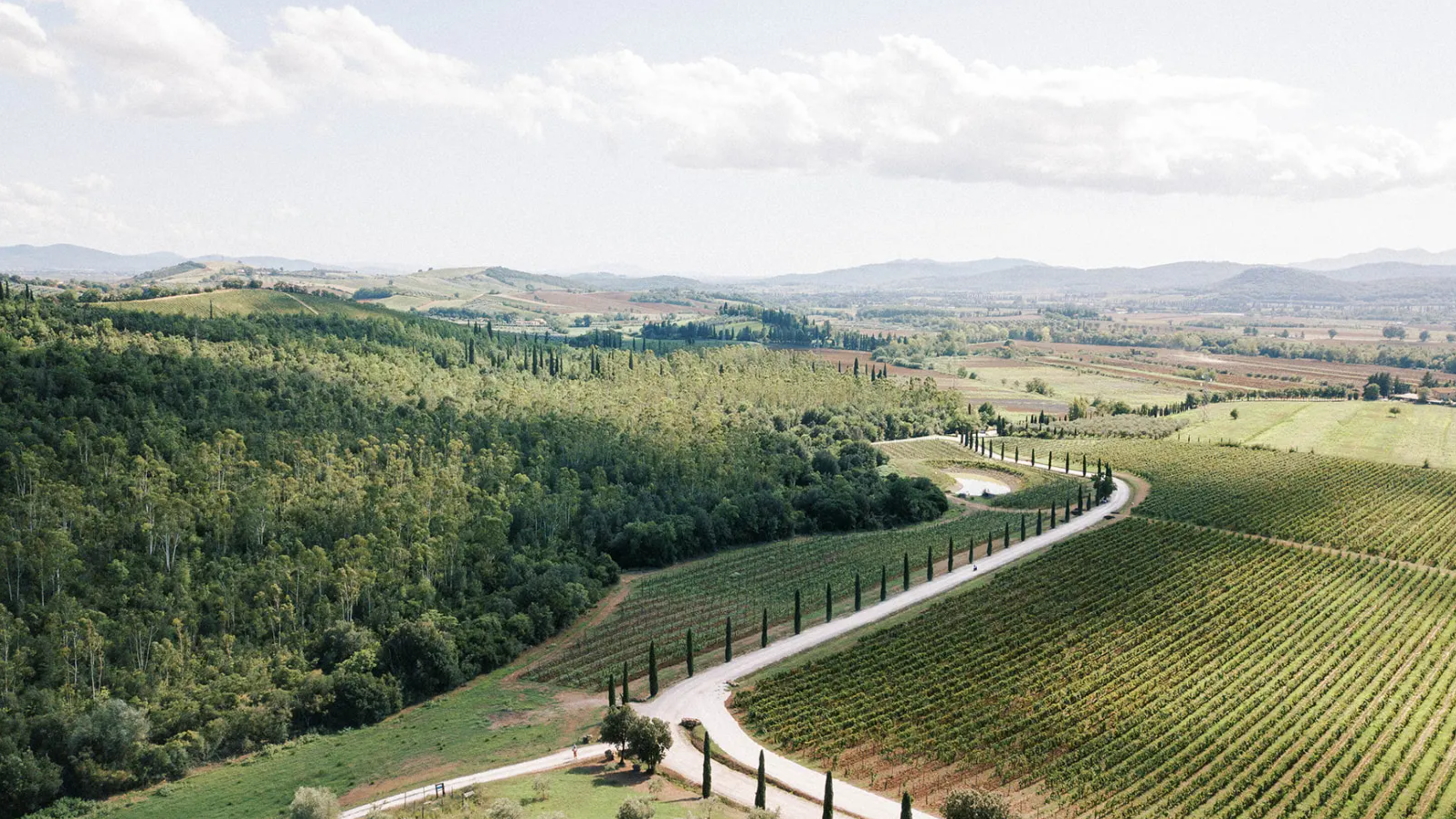 The Wedding Website of Hannah Sorkin and Giorgio Caterini