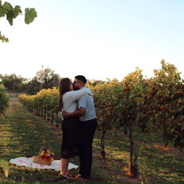 The perfect proposal.