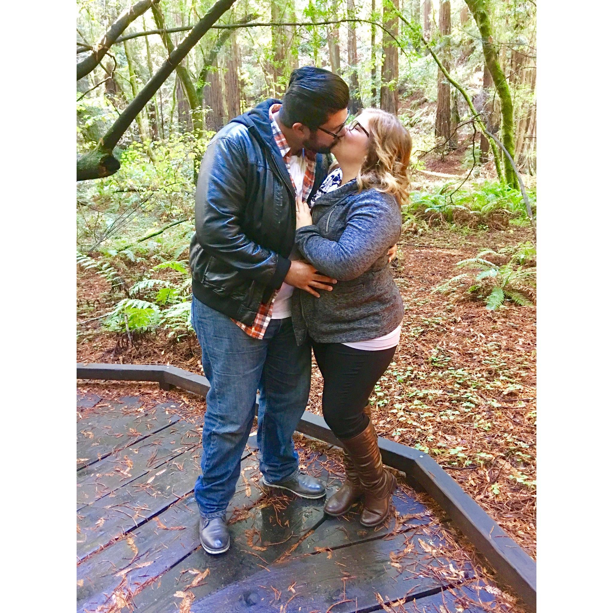 The Proposal - 11.11.2017