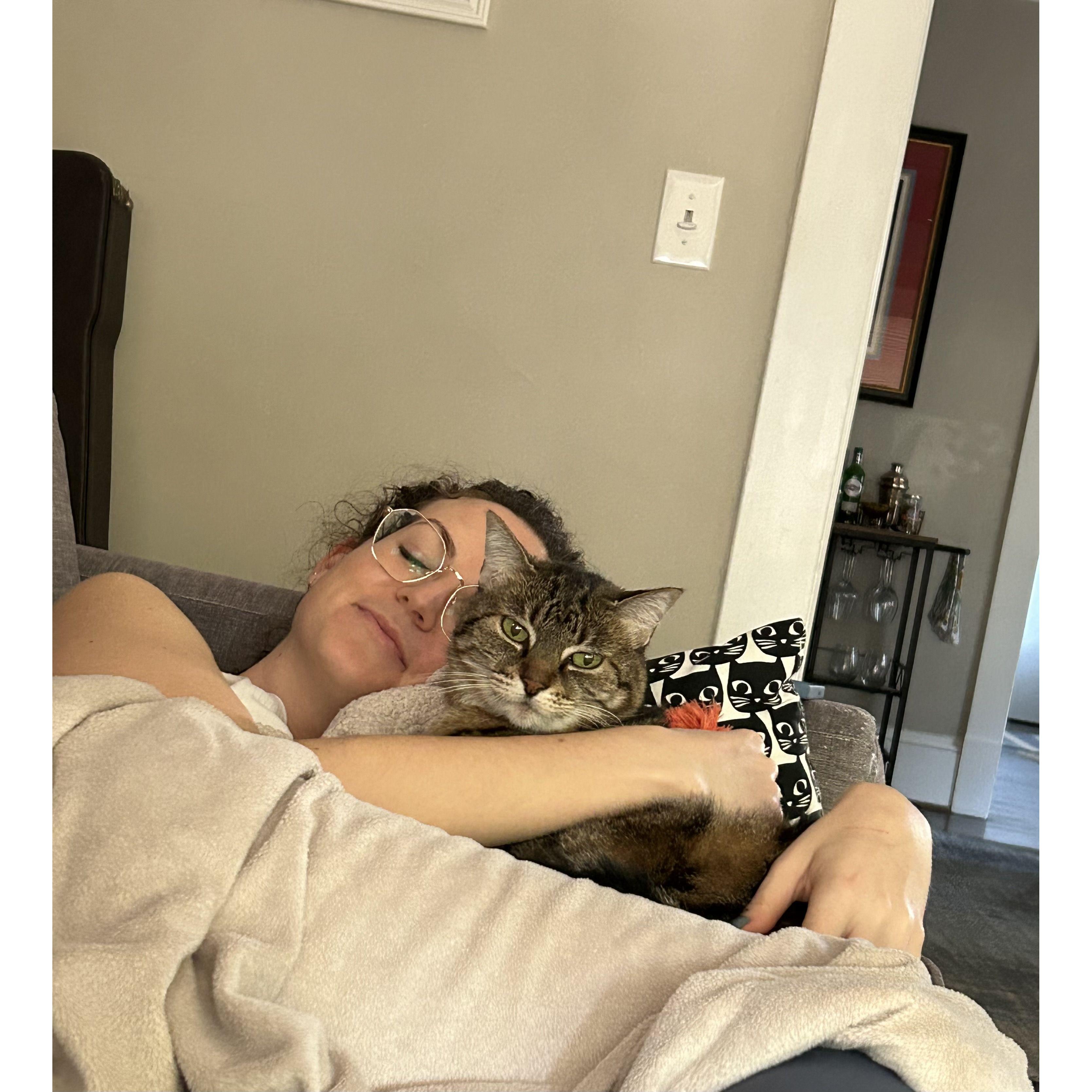 Selina Kyle cuddles in our first Atlanta apartment