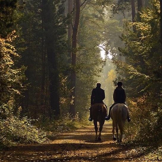 Honeymoon Horseback Riding