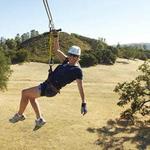 Zipline Tours
