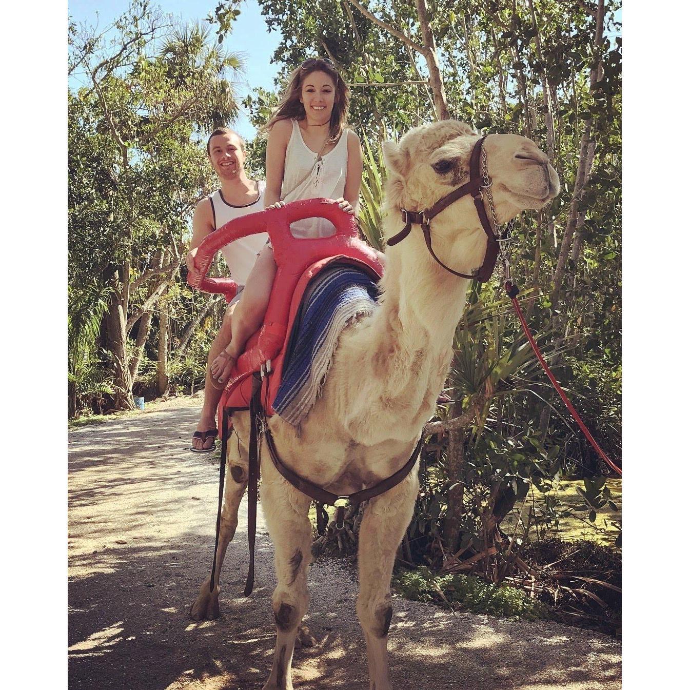 First time riding a camel! Not as smooth riding as you would think! (Florida March 2018)