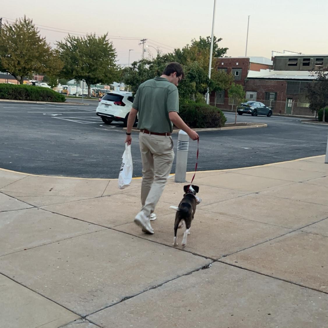 Walked into the Humane Society to "just look" and walked out with our new best friend