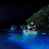 La Parguera Bioluminescent Bay