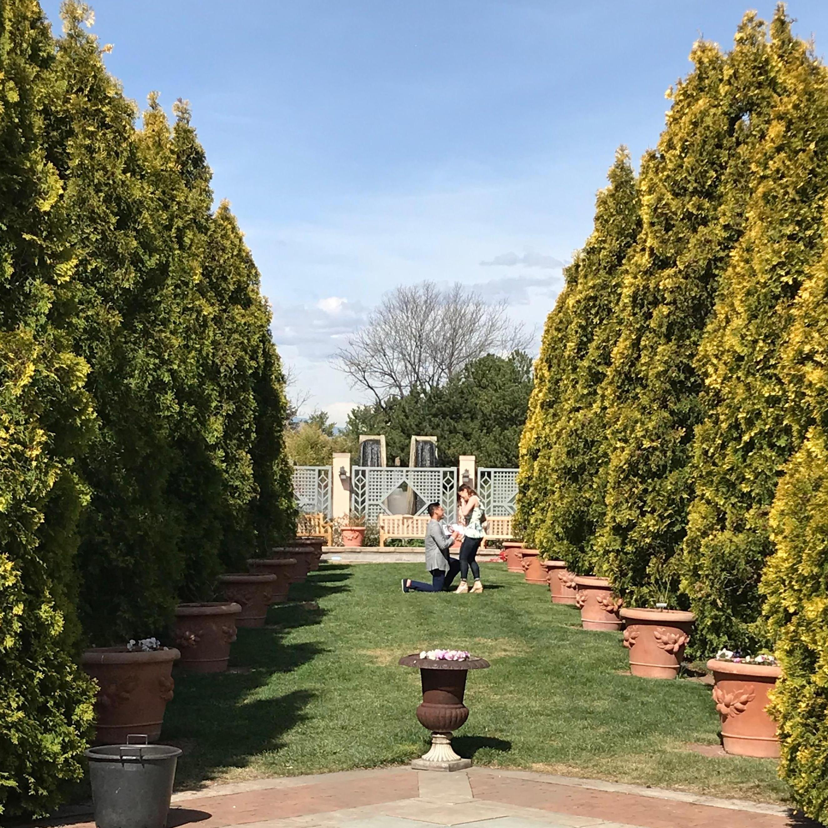 James proposed in Jae's favorite spot in the Denver Botanical Gardens. 1.5 years later they were officially married in the same spot.