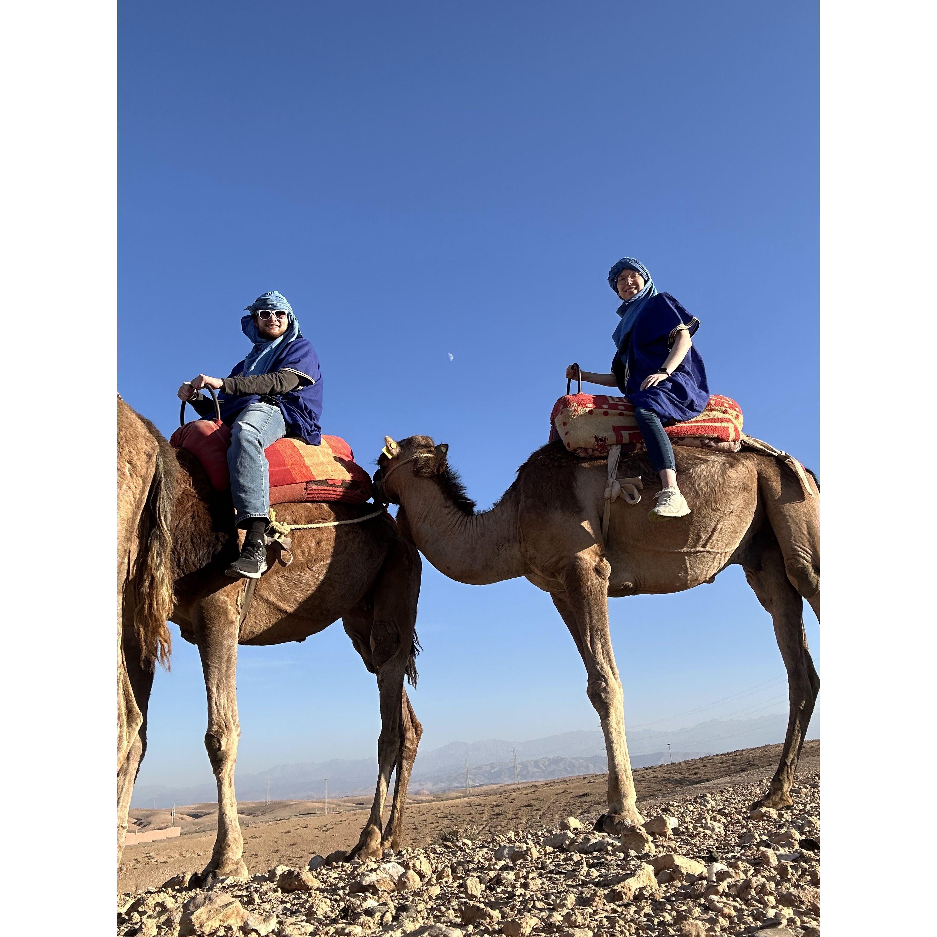 Camel rides in Morocco