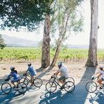 DO: Napa Valley Bike Tours & Rentals