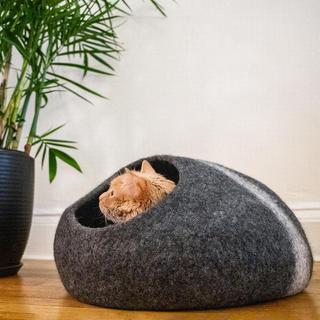 Horizon Cat Cave