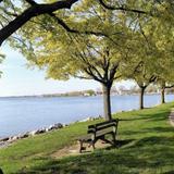 Niawanda Park